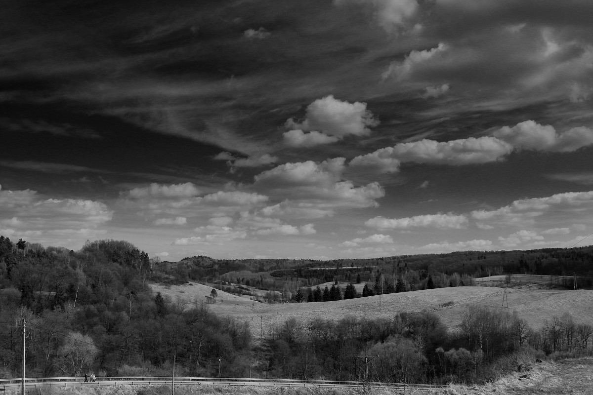 Fotografia czarno biała