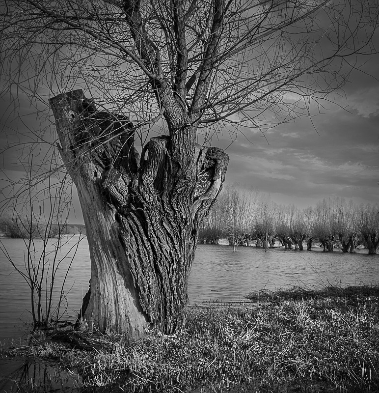 Fotografia czarno biała