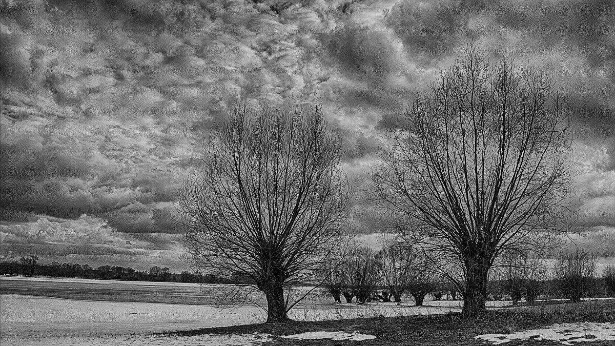 Fotografia czarno biała