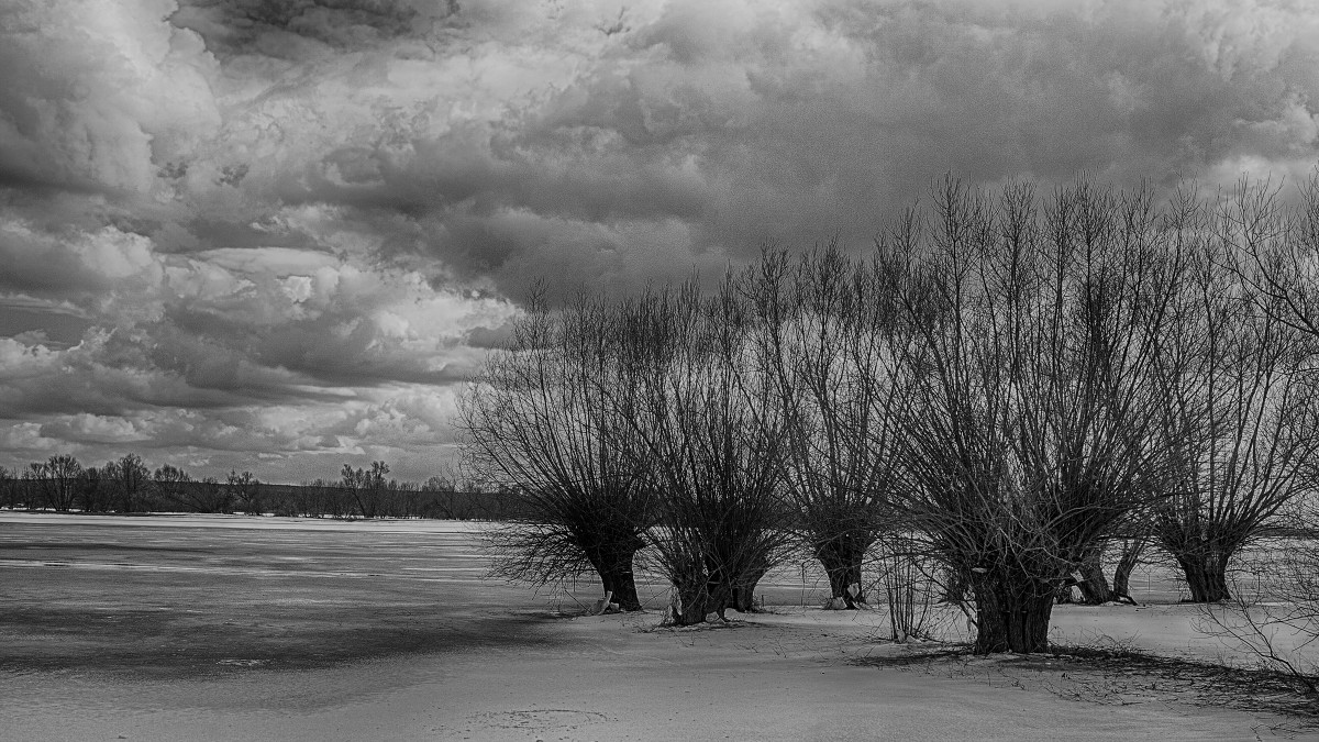 Fotografia czarno biała