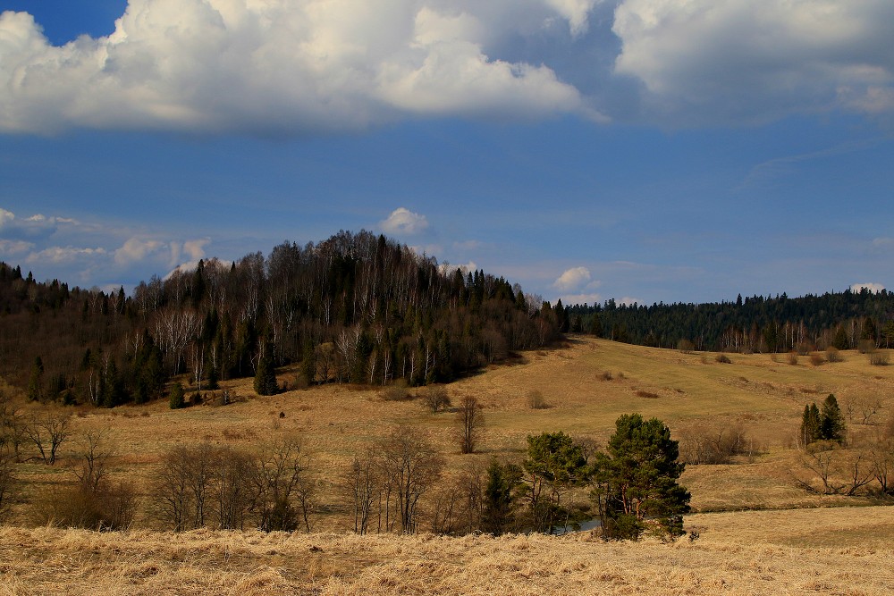 UKRAIMA 