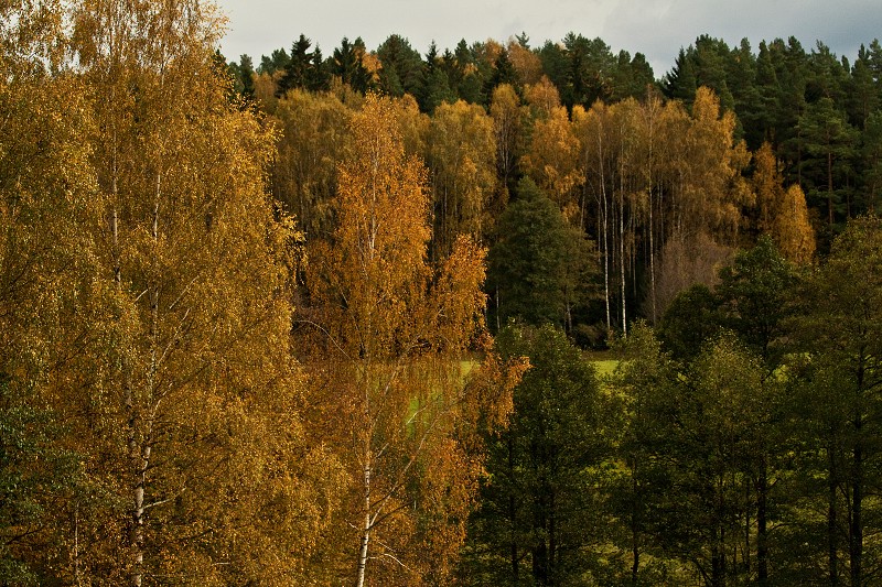  54° 19' 45