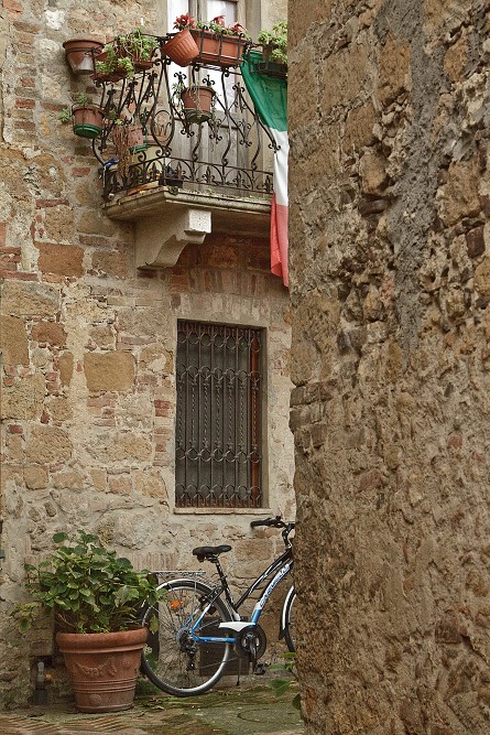  43° 04' 36