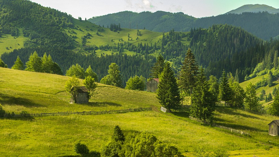 Rumunia Bukowina